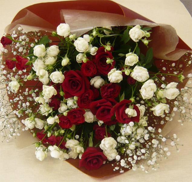 ����ԁ@���ԉԑ�/�ԃo�����E�C�b�g�������ݑ�